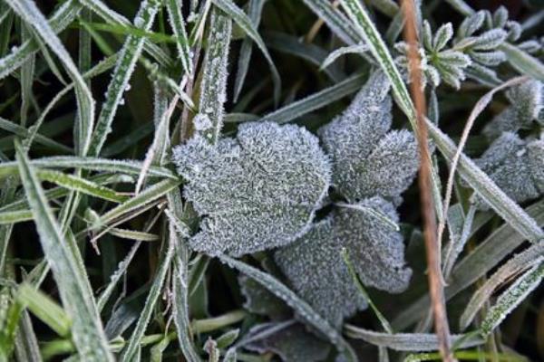 Falling temperatures are expected over the next few days. File picture: Denis Minihane